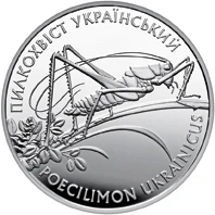10 ₴ Пилкохвіст український (срібло) Монети НБУ 2006 2006 10 ₴ Пилкохвіст український (срібло) Монети НБУ 2006 2006