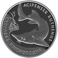 10 ₴ Стерлядь прісноводна (срібло) Монети НБУ 2012 2012 10 ₴ Стерлядь прісноводна (срібло) Монети НБУ 2012 2012