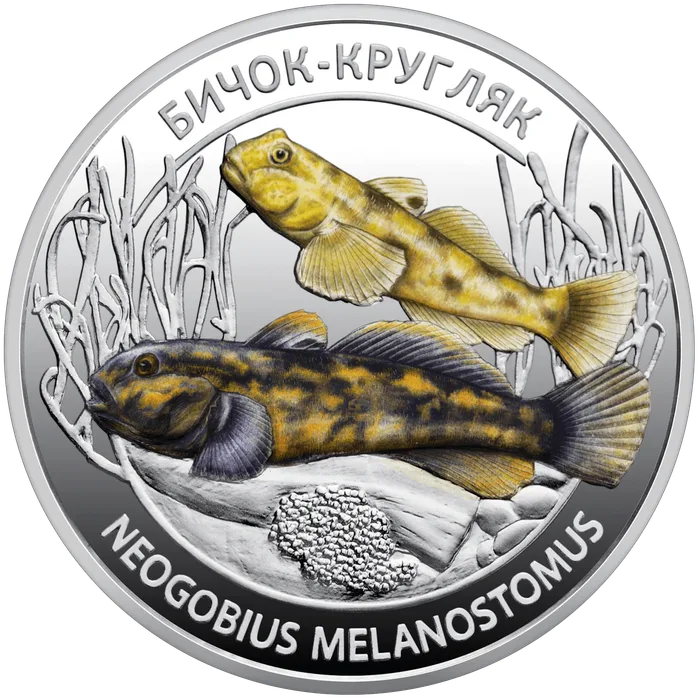 Набір «Мешканці морських глибин» Флора і фауна України
